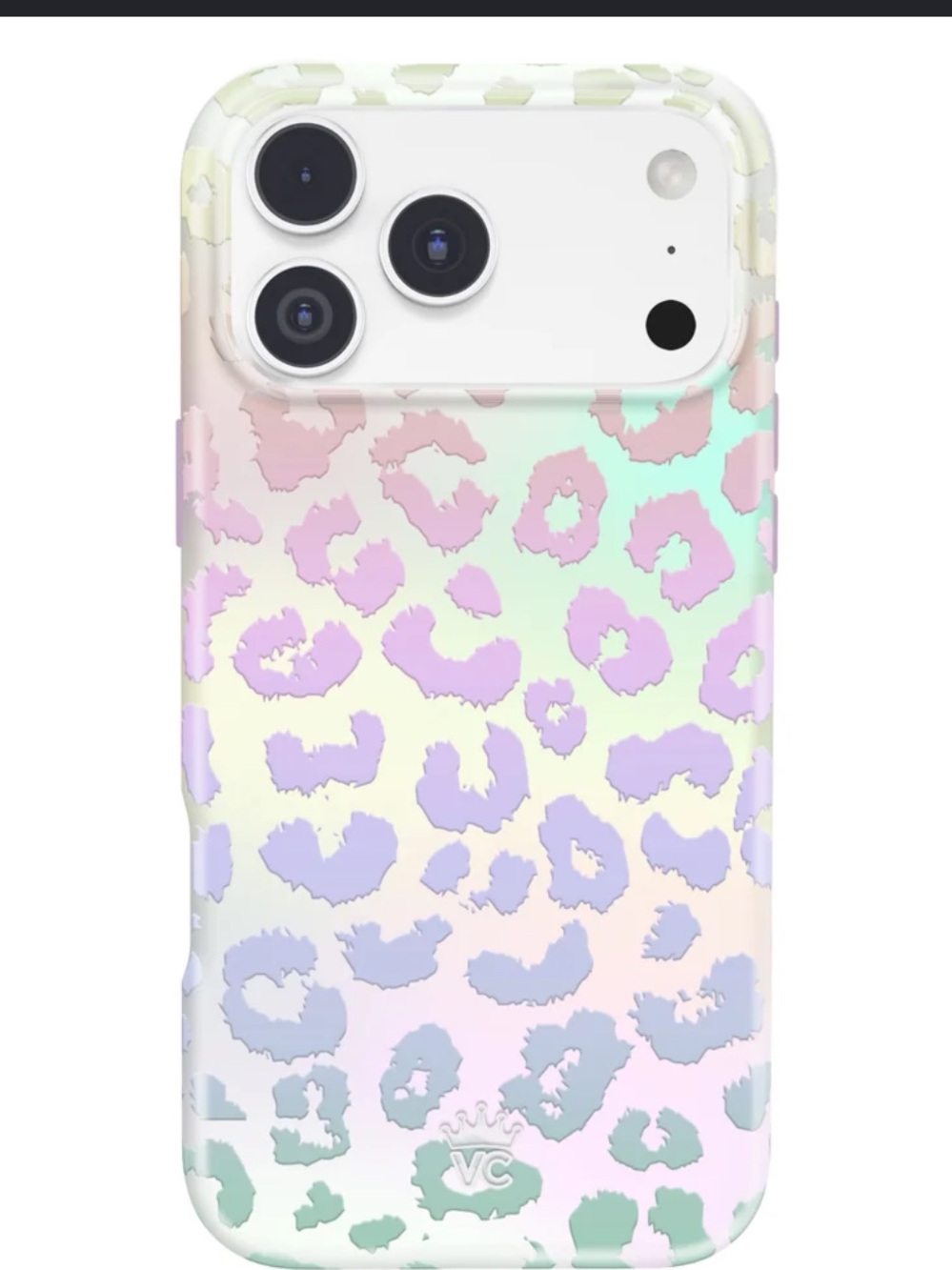 17 Pro Max case